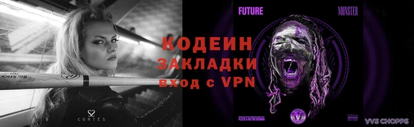 хмурый Дмитриев