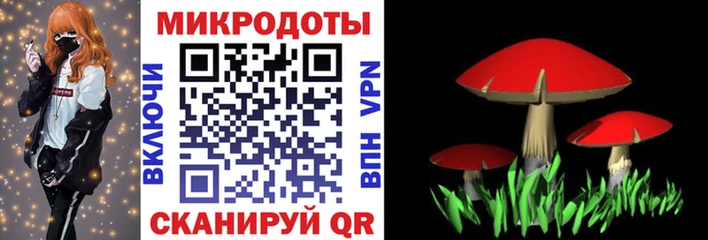 Галлюциногенные грибы Magic Shrooms  Туапсе 