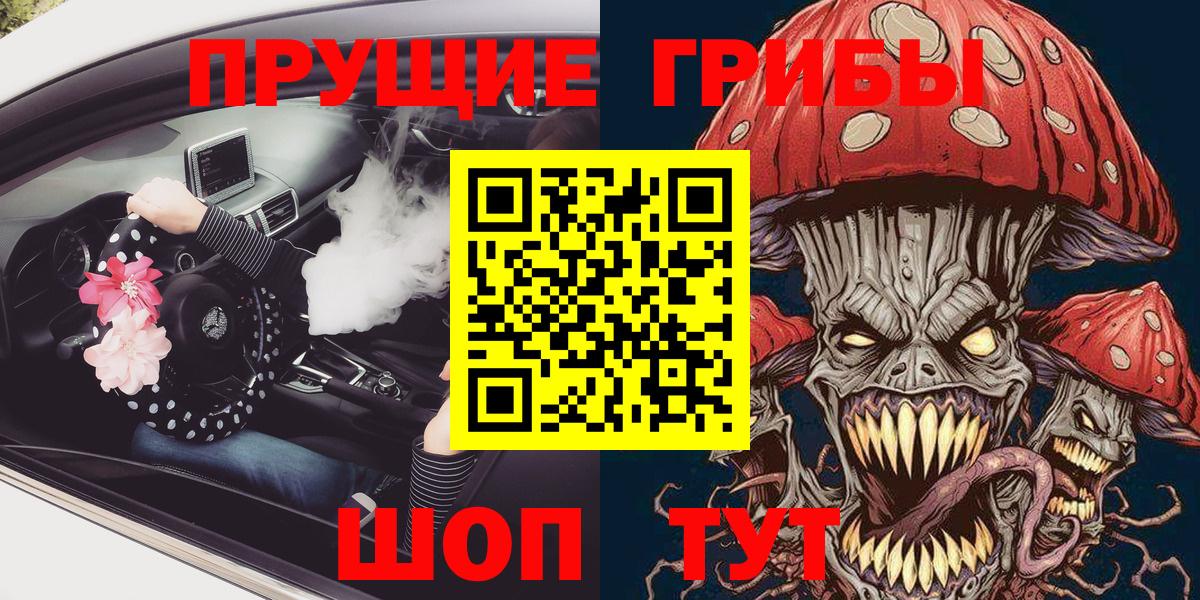 Туапсе  Псилоцибиновые грибы Cubensis  Вход с VPN 